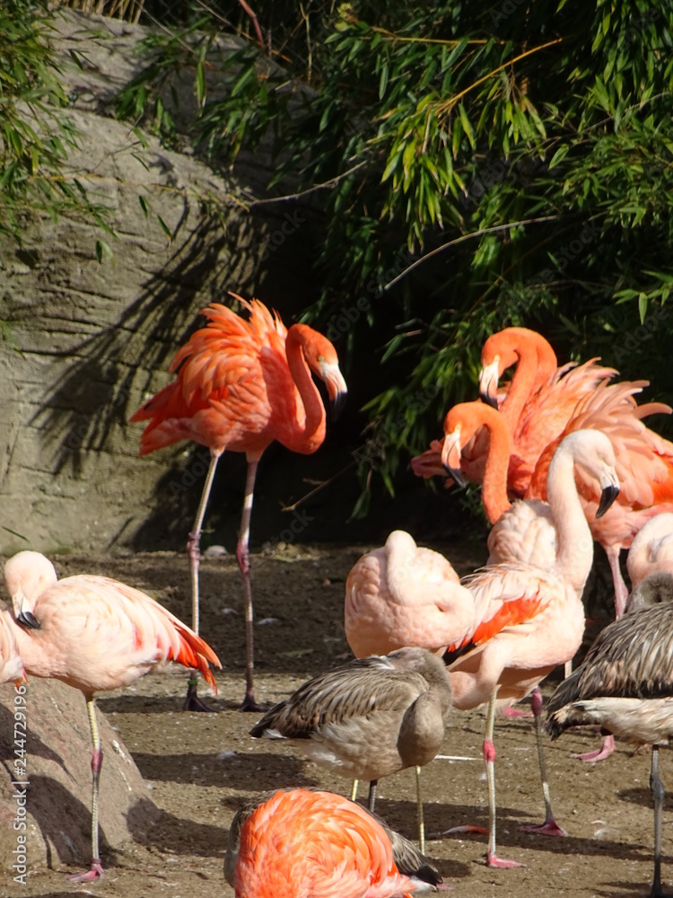 Hagenbecks Tierpark, Hamburg, Oktober 2018 Hagenbecks Tierpark, Hamburg, Oktober 2018