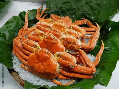 Alaskan king crab