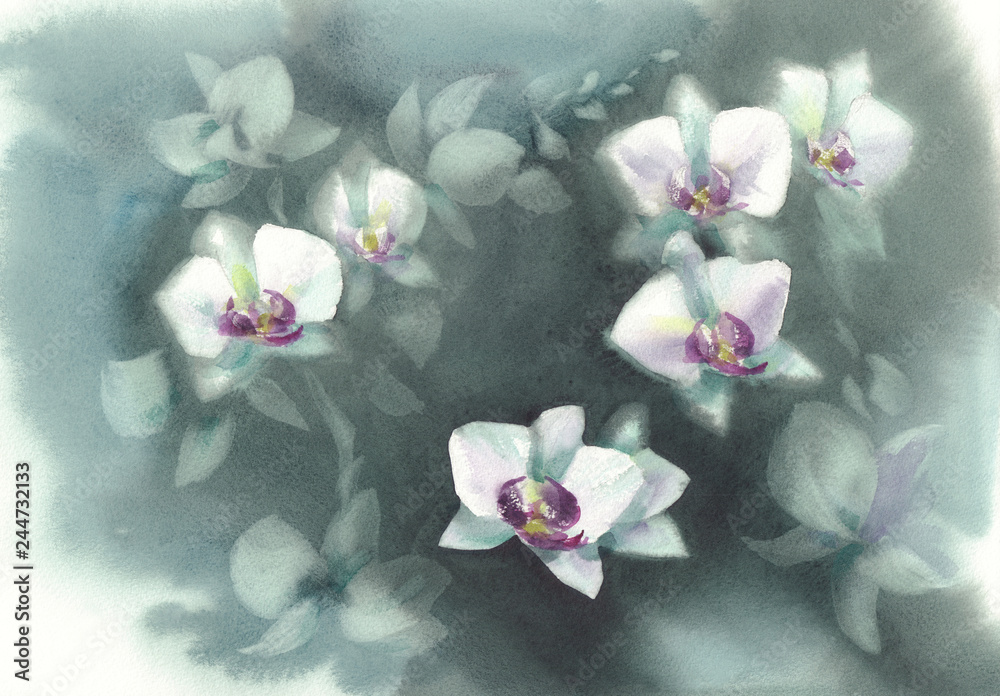 White orchid flowers on the dark green background watercolor