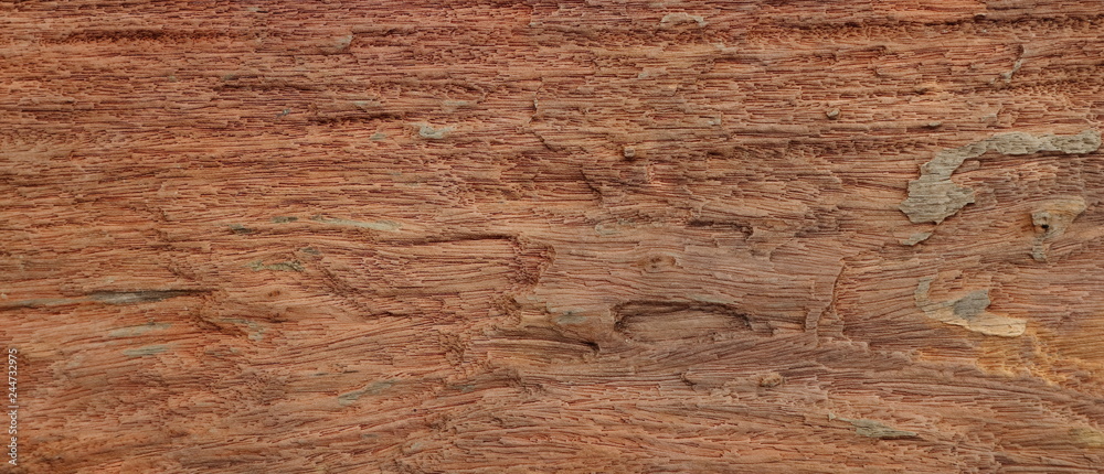 Obraz premium wood texture background surface with old natural pattern