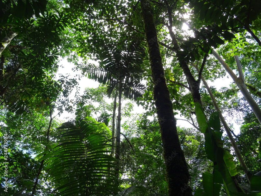 Fototapeta premium Ecuador 2018