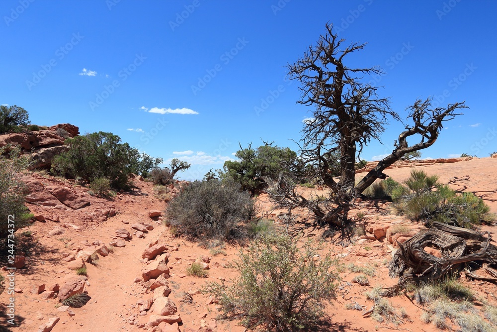 Utah landscape