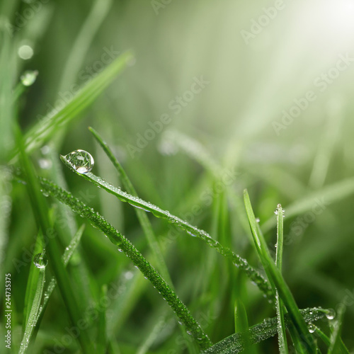 Big drop on grass