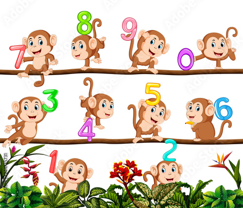 Let's count with monkey