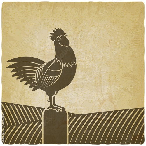 Rooster crowed in farm fields vintage background