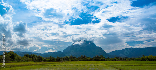 Rice fields and Chiang Dao mountains  in Chiang Mai Thailand