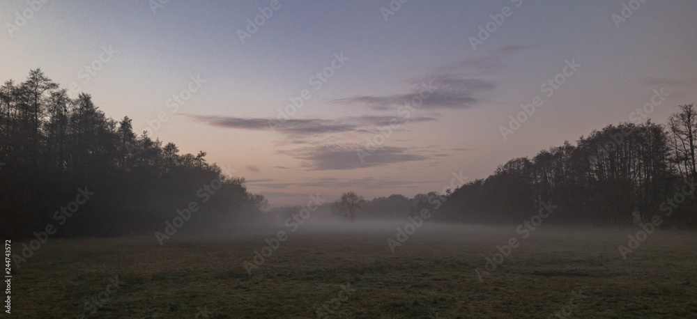 Fototapeta premium Misty sunset meadow