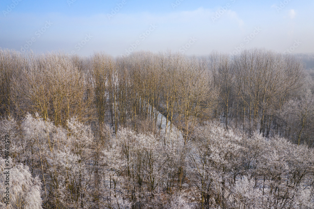 Rime and hoarfrost covering trees. Aerial view of the snow-covered forest and lake from above. Winter scenery. Landscape photo captured with drone. Rime and hoarfrost covering trees. Aerial view of the snow-covered forest and lake from above. Winter scenery. Landscape photo captured with drone.