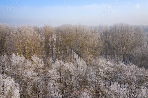 Rime and hoarfrost covering trees. Aerial view of the snow-covered forest and lake from above. Winter scenery. Landscape photo captured with drone.