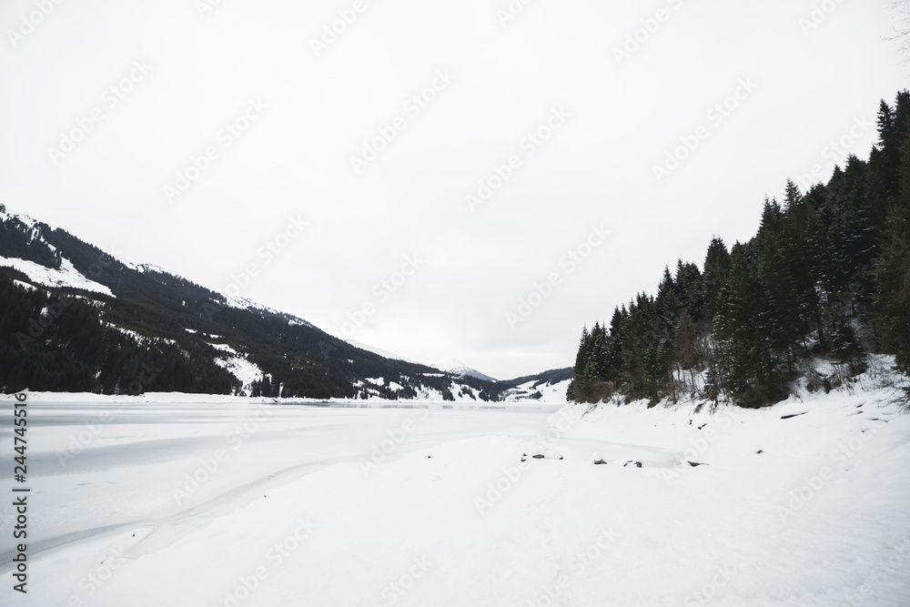 Fototapeta premium Beautiful winter wonderland scenery with trees and mountain tops in the Alps