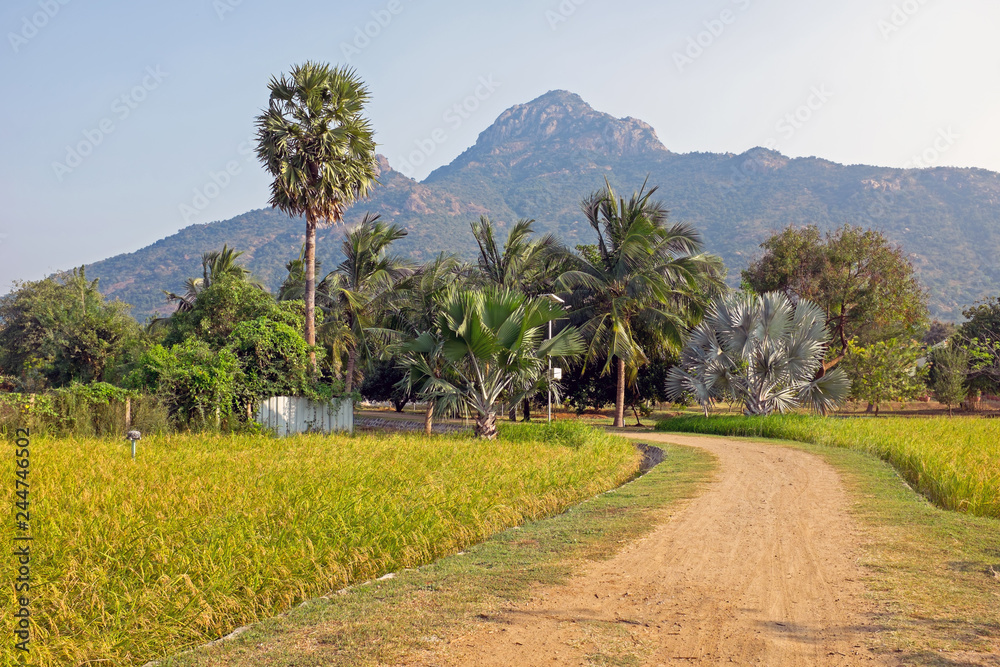 The holy mountain Arunachala, the oldest mountain in the world in Tamil