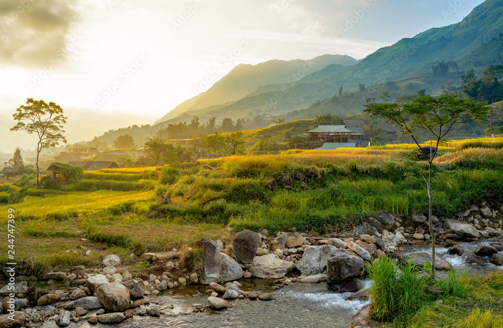 Beautiful Panorama of growing golden paddy rice field with stream flows through into Tavan local village and fansipan mountain on background in the morning, Sapa, Laocai , Northwest of Vietnam