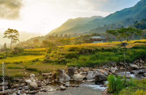 Beautiful Panorama of growing golden paddy rice field with stream flows through into Tavan local village and fansipan mountain on background in the morning, Sapa, Laocai , Northwest of Vietnam