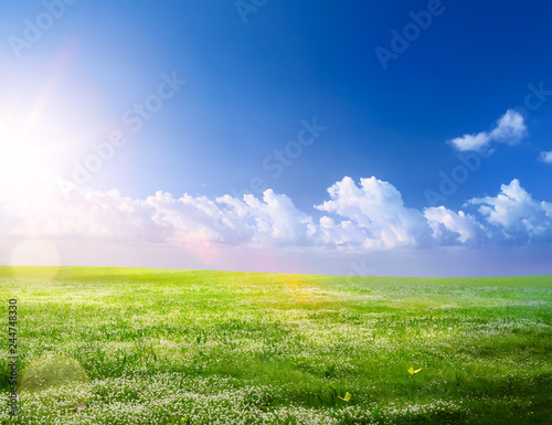 spring landscape background  spring flowering and blue sunny sky