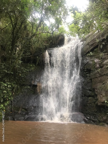 waterfall in the forest