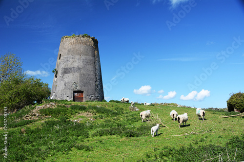 The derelict Melin Maengwyn windmill in Gaerwen on Anglesey photo