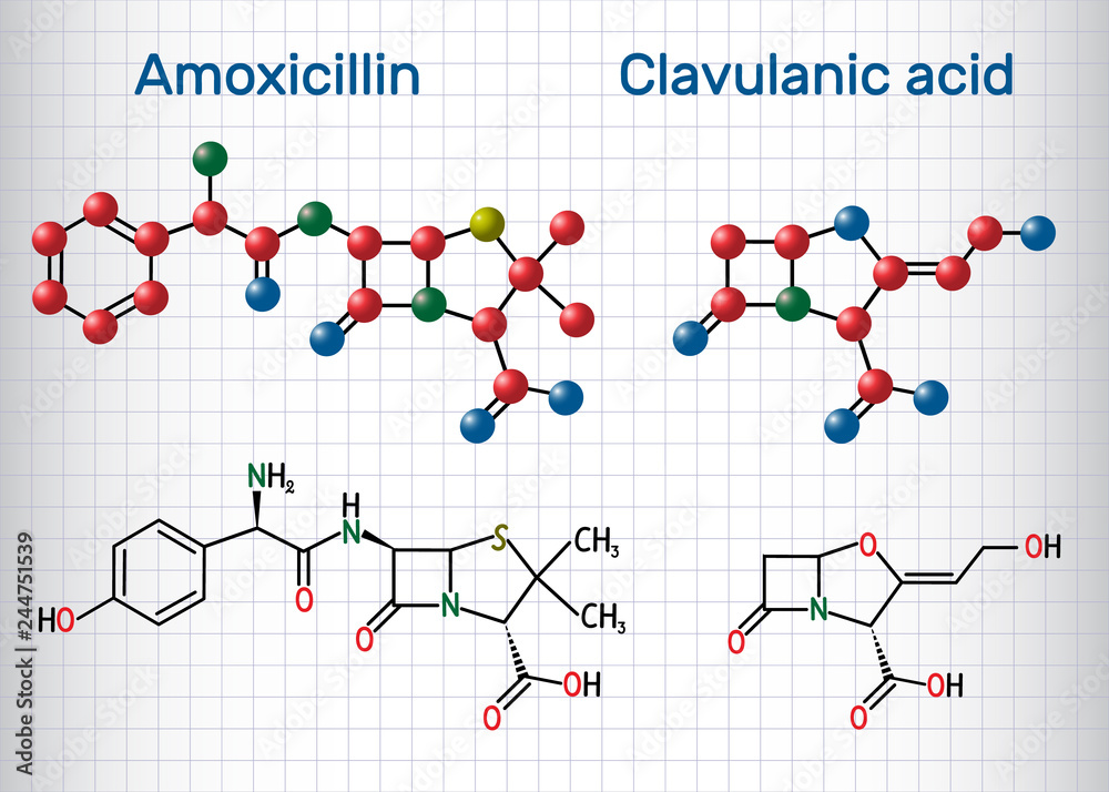 Amoxicillin and clavulanic acid drug molecule. Combination is an antibiotic useful for the treatment of bacterial infections. Sheet of paper in a cage. Structural chemical formula and molecule model Amoxicillin and clavulanic acid drug molecule. Combination is an antibiotic useful for the treatment of bacterial infections. Sheet of paper in a cage. Structural chemical formula and molecule model