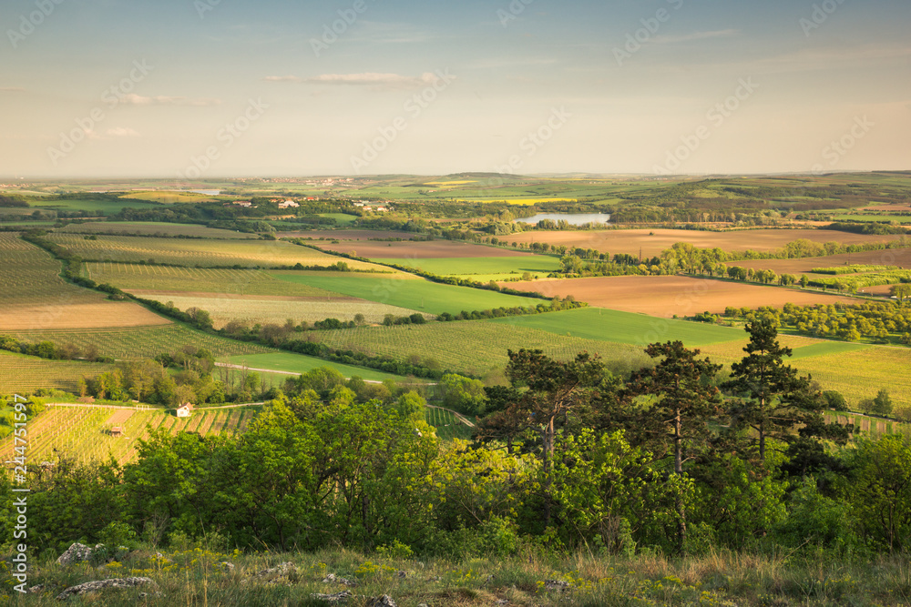 Naklejka premium View from holy hill in Mikulov, Moravia, Czech Republic