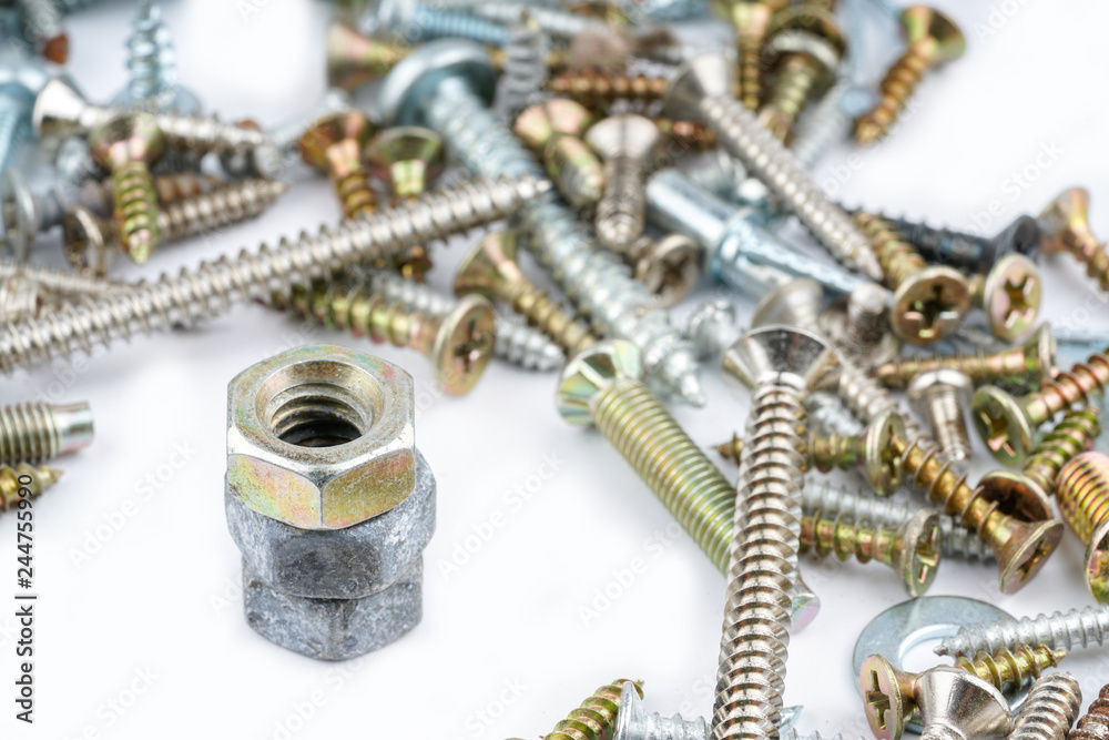 Screw Screw