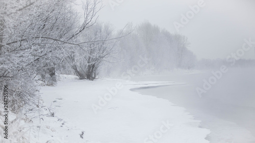 winter taiga © Александр Денисюк