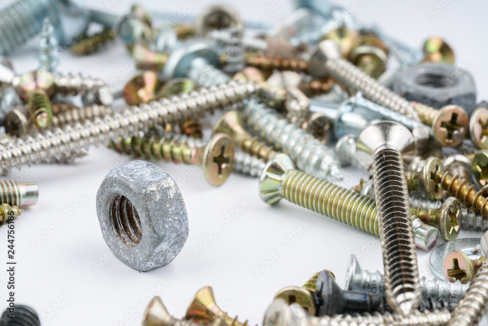 Screw Screw