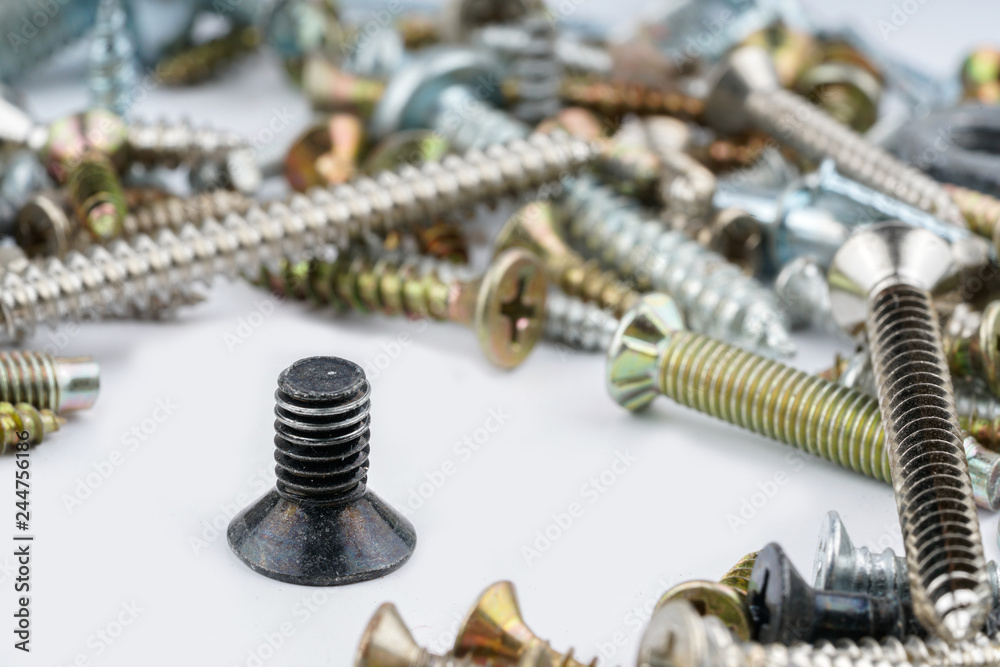 Screw Screw