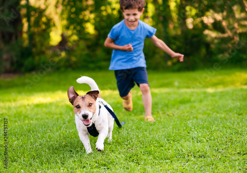 Photography Naughty dog with leash on ground running from his handler