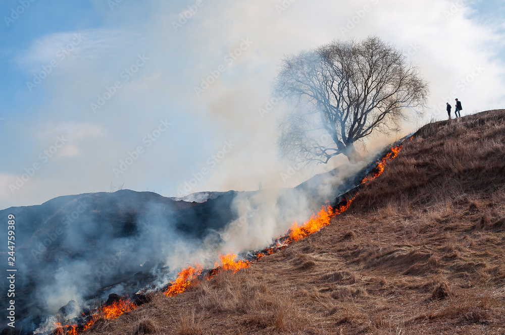 Burning dry grass in spring in the fields of Russia.