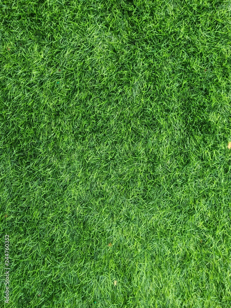 green grass texture background green grass texture background