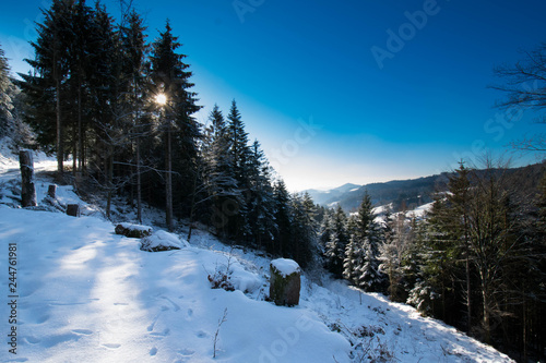 Winterwunder im Schwarzwald bei Nordrach photo