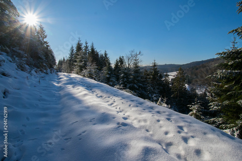 Winterwunder im Schwarzwald bei Nordrach photo