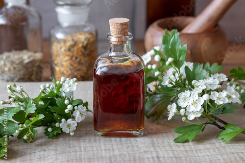 A bottle of hawthorn tincture with fresh blooming hawthorn branches