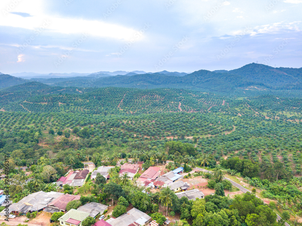 Property land with aerial view. Property land with aerial view.