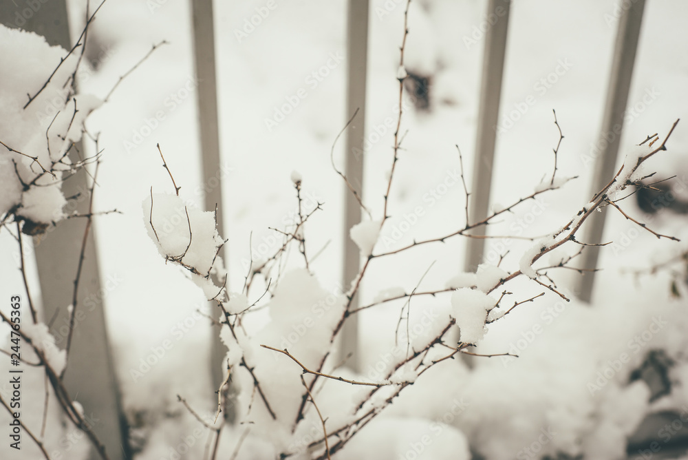 Metalic fence and branch in snow closeup Metalic fence and branch in snow closeup