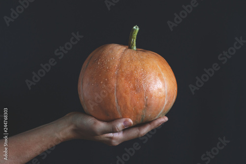Orange pumpkin in female hahd on black background. Minimalism. Copy space. Vegetable, organic food concept.