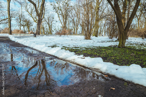 melting snow. puddle on the road. city park photo