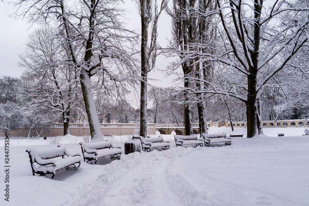 Zima w ogrodach Pałacu Branickich - Białystok