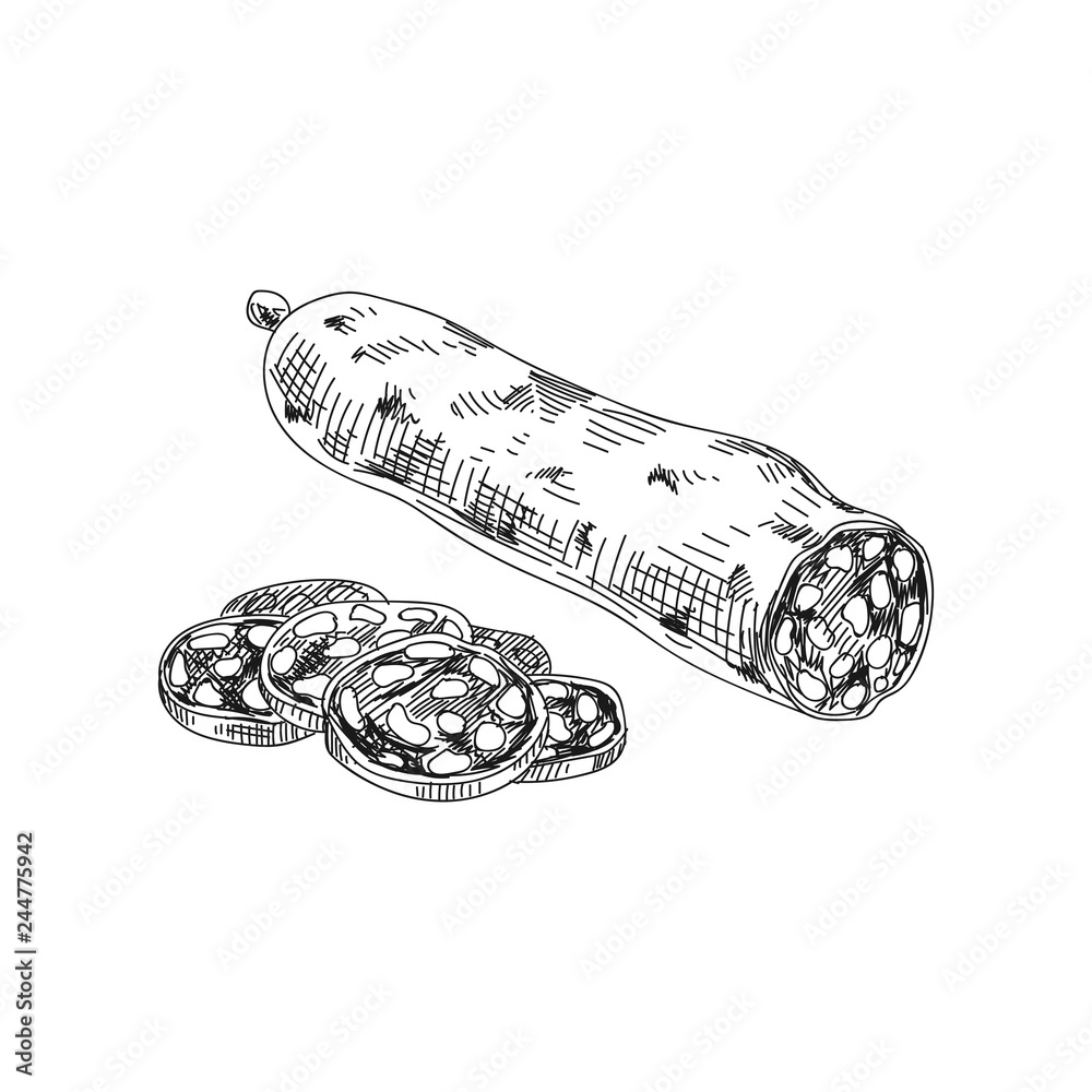 Fototapeta premium Beautiful vector hand drawn meat products Illustration.