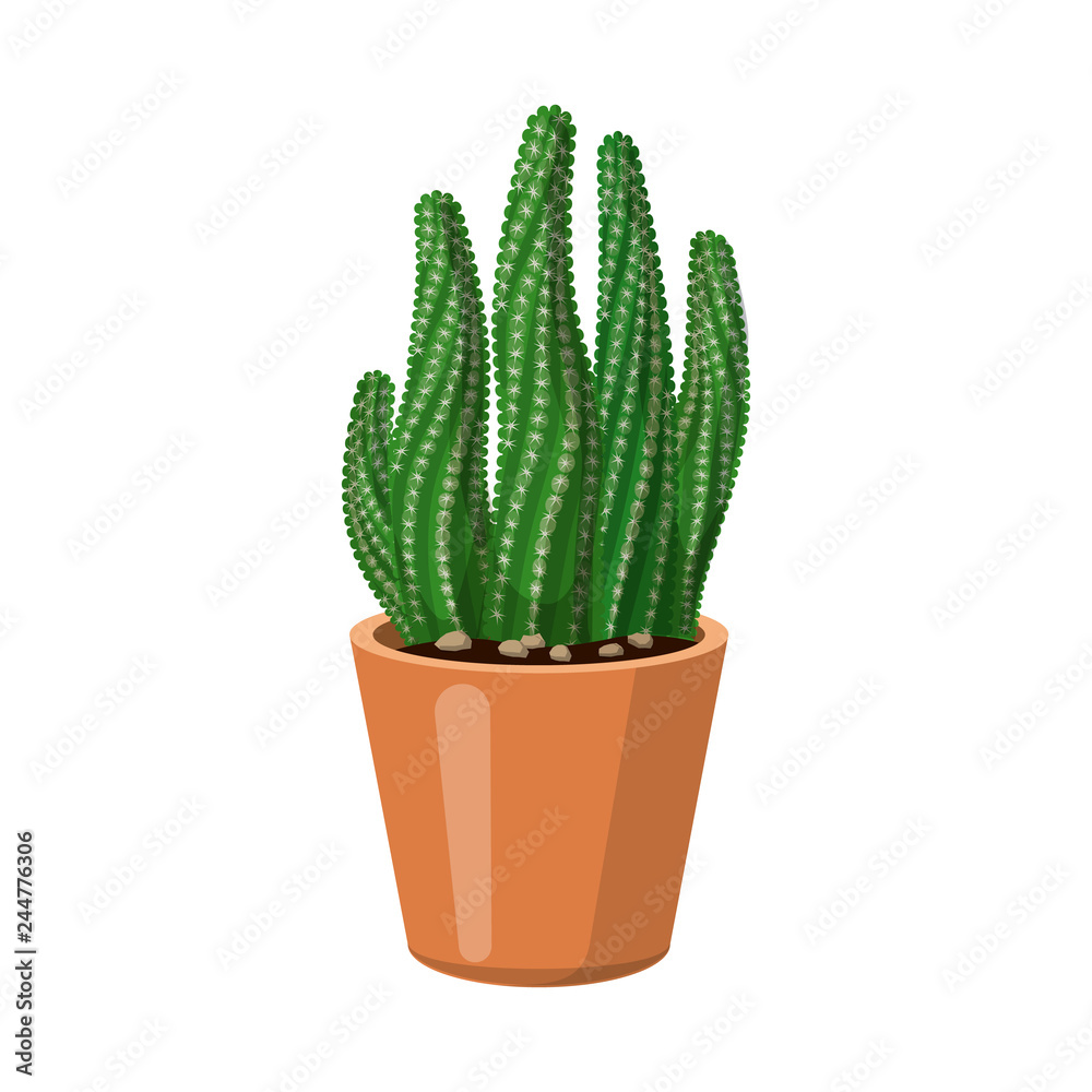 Isolated object of cactus and pot sign. Set of cactus and cacti stock vector illustration. Isolated object of cactus and pot sign. Set of cactus and cacti stock vector illustration.