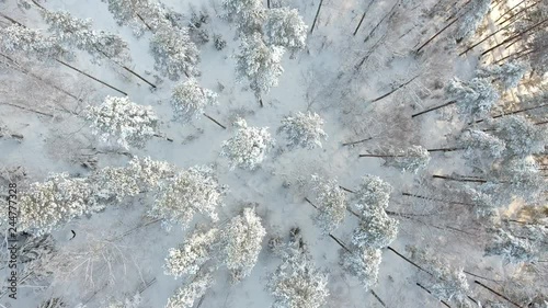 Flying over snowy forest and frozen lake photo