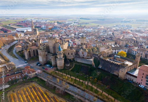 Aerial view of Royal Palace of Olite  Navarre  Spain