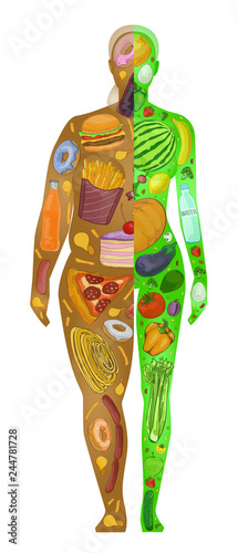 Diet, fat and thin woman, vector illustration
