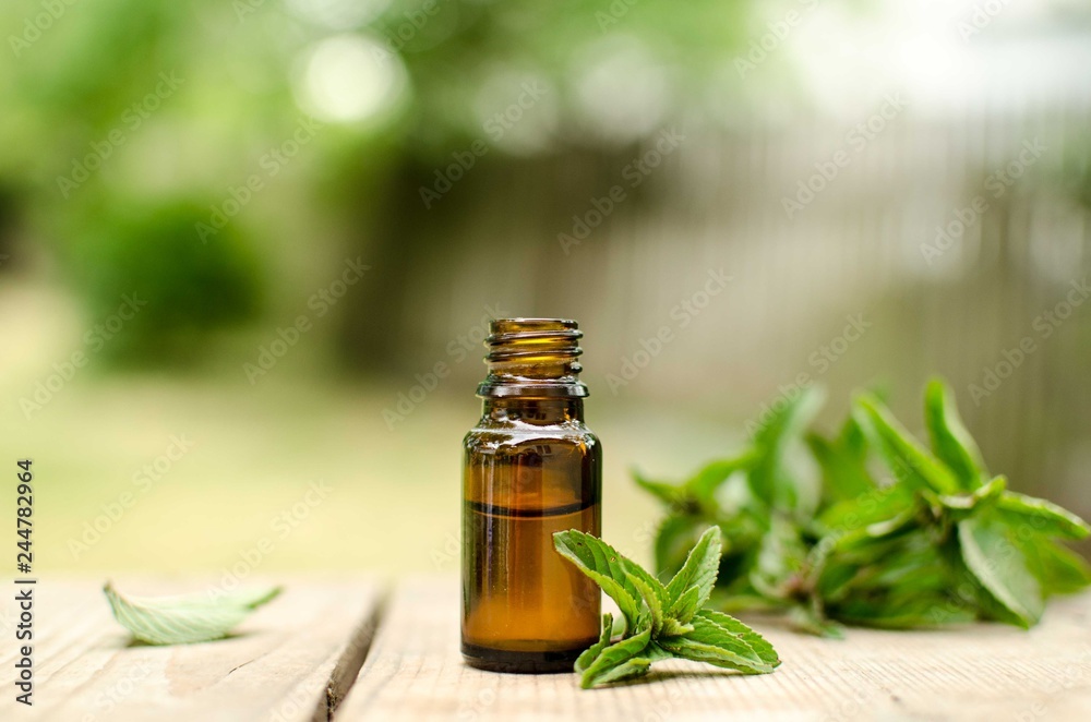 Natural Mint Essential Oil in a Glass Bottle with Fresh Mint Leaves Natural Mint Essential Oil in a Glass Bottle with Fresh Mint Leaves