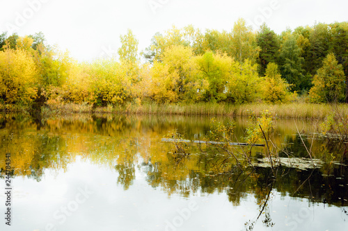 Lake in autumn forest landscape.