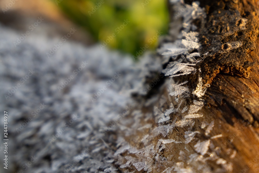 Macro of ice and snow coating during winter. Slovakia Macro of ice and snow coating during winter. Slovakia