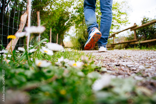 Man walking down a path in spring