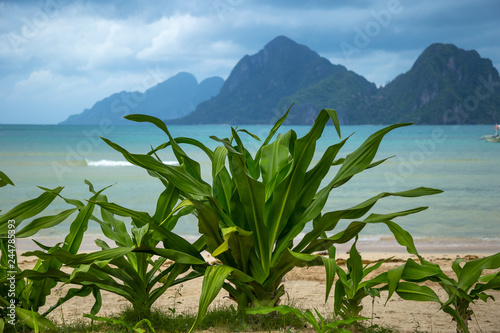 Traditional braided hammock in the shade with tropical island in the background photo