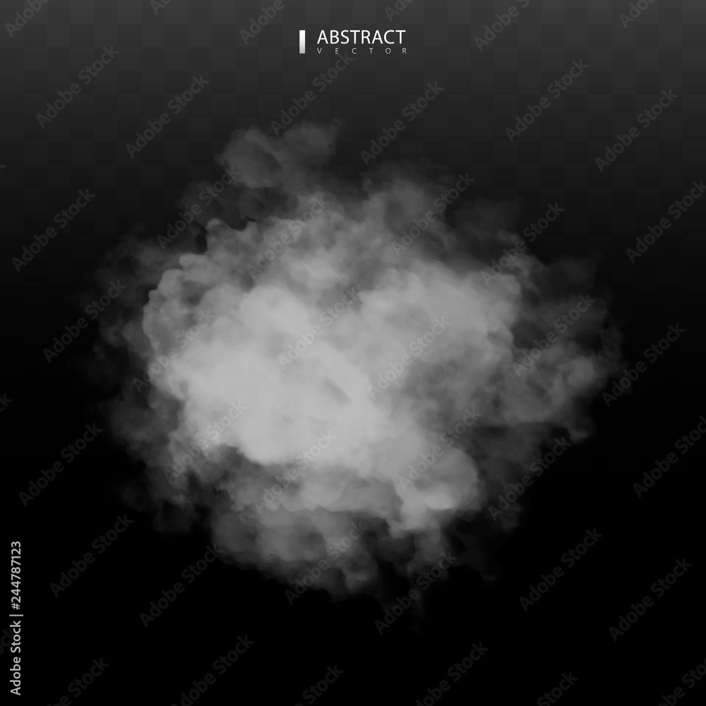 Fog or smoke isolated transparent special effect. Happy Halloween. Halloween composition. White vector cloudiness, mist or smog background. Vector illustration