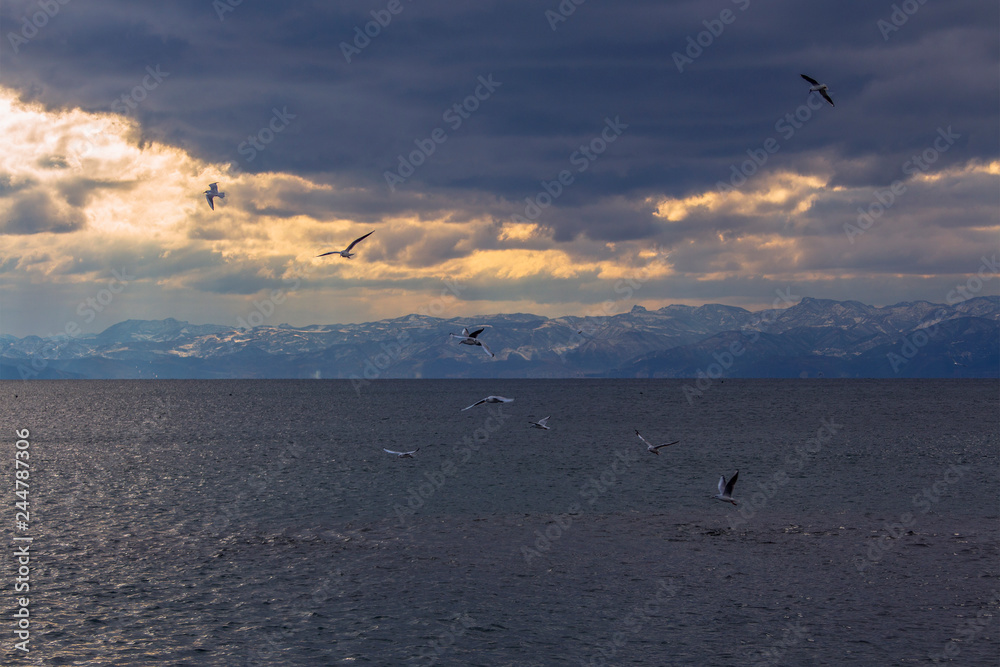 Winter cloudy sunset over Lake Ohrid with river gulls. Macedonia.