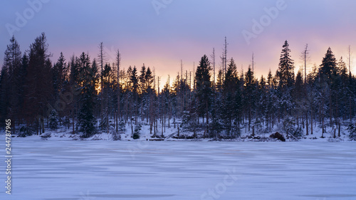 Pastel sky at sunset in winter over a snowy lake in the forest. Winter landscape in the Harz mountains, Oderteich water reservoir, Lower Saxony, Germany.